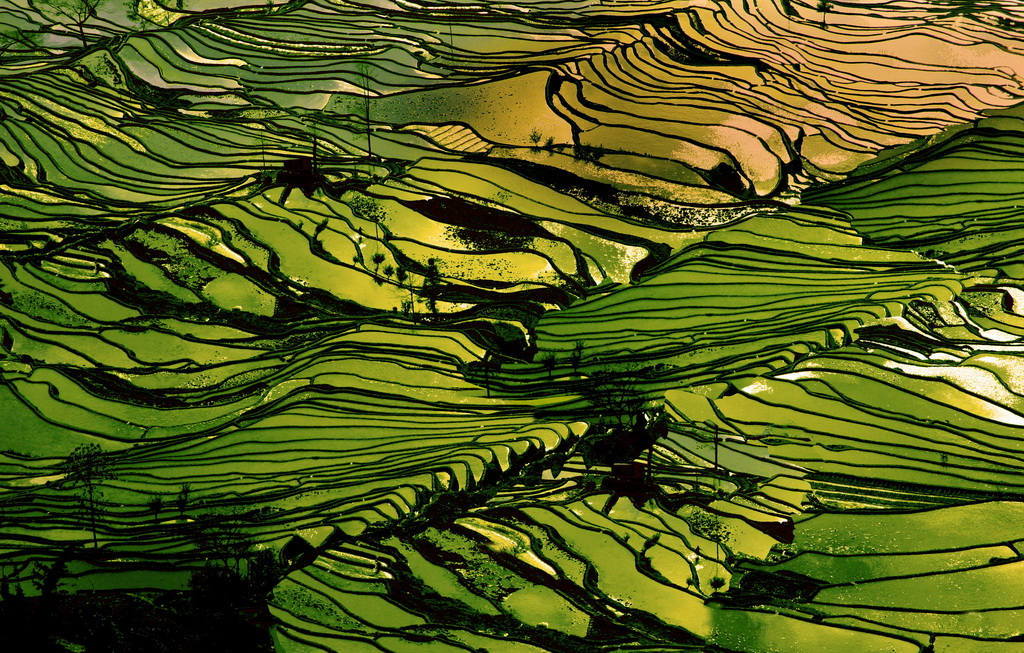 王艳 - 光影·色彩.jpg